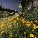 동교마트 이미지