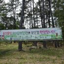 송산물빛 유아숲체험원 이미지