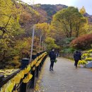 용문사 - 1144 | 용문사