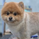 지개동산 이미지