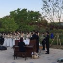 숲속버스킹 이미지