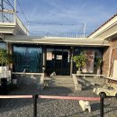 안평로 | [부산 기장] 애견카페 일로우, 천연잔디 넓은 운동장 내돈내산 후기