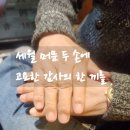 면목동-101 | 면목동 부근에서 부모님 모시고 외식하기 좋은 곳, 세대를 잇는 따뜻한 저녁 _101번째 감사 기록