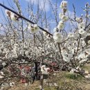 명지 행정사사무소 이미지