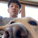 로즈멍