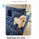라온플래닛 이미지