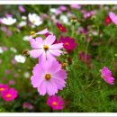 이천농원 이미지