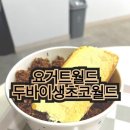 요거트월드부천점 | [부천역곡/요거트월드] 신제품 두바이생초코월드 꿀조합 추천