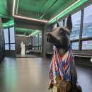 NBO Boxing(넘버원 복싱센터) 이미지