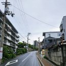 청수사 | 교토 청수사 기요미즈데라 오픈런 입장시간 입장료 꿀팁 후기