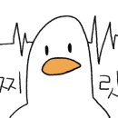 1급논현 현대기아모터스 이미지