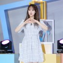 허브세이