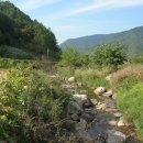 규석농장 이미지