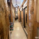 너구리의 피난처 이미지