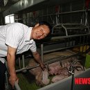 성산종돈장 이미지