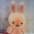 건아공구 | [리뷰] Kodak Charmera << 코닥 차메라키링 >> 랜덤깡