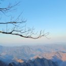 성북제일의원 이미지