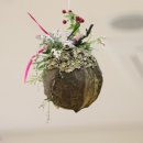 신진병설유치원 이미지