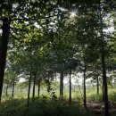 금파농장 이미지