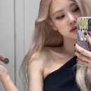 하이로제 네이버블로그