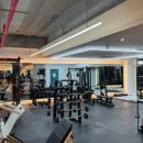 정성PT&운동센터 이미지