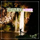 서귀포종합관광안내소 | 서귀포 야간명소 천지연폭포 야간 재개장 원도심 새연교 관광팁