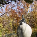 신정호수공원-11 이미지