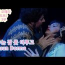 푸치니 마지막 오페라 투란도트 줄거리 3부/ 공주는 잠 못 이루고 / Puccini Turandot 'Nessun Dorma' 이미지