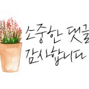 아리울초교2 이미지
