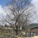 삼진제일주유소 이미지