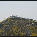 응봉산 팔각정 이미지