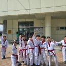 세종의 아침 태권도(나성관) 이미지