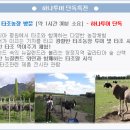 [예정일정] 호주/뉴질랜드 북섬 8일여행 상품(엄마가 찍어둔 상품) 이미지