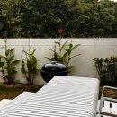 수수상라 이미지