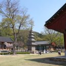 칠곡 송림사 석조아미타여래삼존좌상 이미지