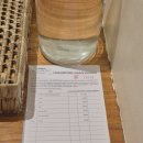 블루워터 마리바고 첫날후기| 디럭스룸 &변경요청, 시터, 델피노피자, 룸서비스 후기