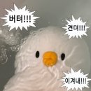 페이페이 | 신세계백화점 타임스퀘어점 페이페이 후기