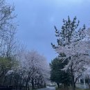 경대컵밥창원대점 이미지