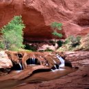 장수사슴목장 이미지