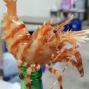 속초간장꽃새우 이미지