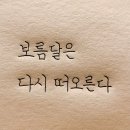 [마인드] 보름달은 다시 떠오른다 이미지