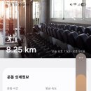 고달리다리 네이버블로그