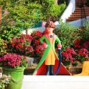 피노키오의 호수 이미지