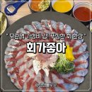 회가좋아 | 모란역 맛집 | 회가좋아 보리숭어 내장의 미친 식감, 나만 알고 싶은 횟집 후기