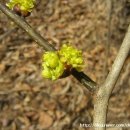 두리농원 이미지