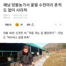 꿀벌태양광발전소 이미지