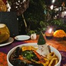 가우리 GAURI 이미지