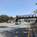 하단1동-11 이미지