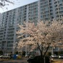 내서읍506 이미지