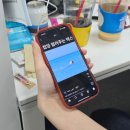 양주시에코스포츠센터 | 수영일기 #3